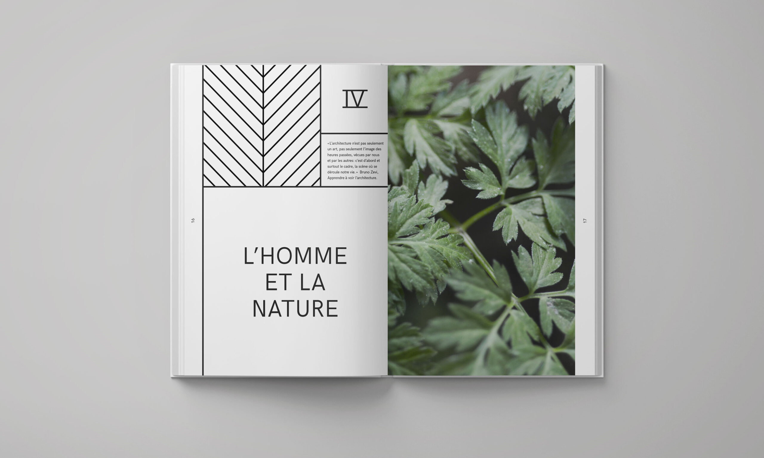 Double page du livre Biomimesis intitulée « L’homme et la nature », associant une composition graphique géométrique à une photographie de feuilles vertes.