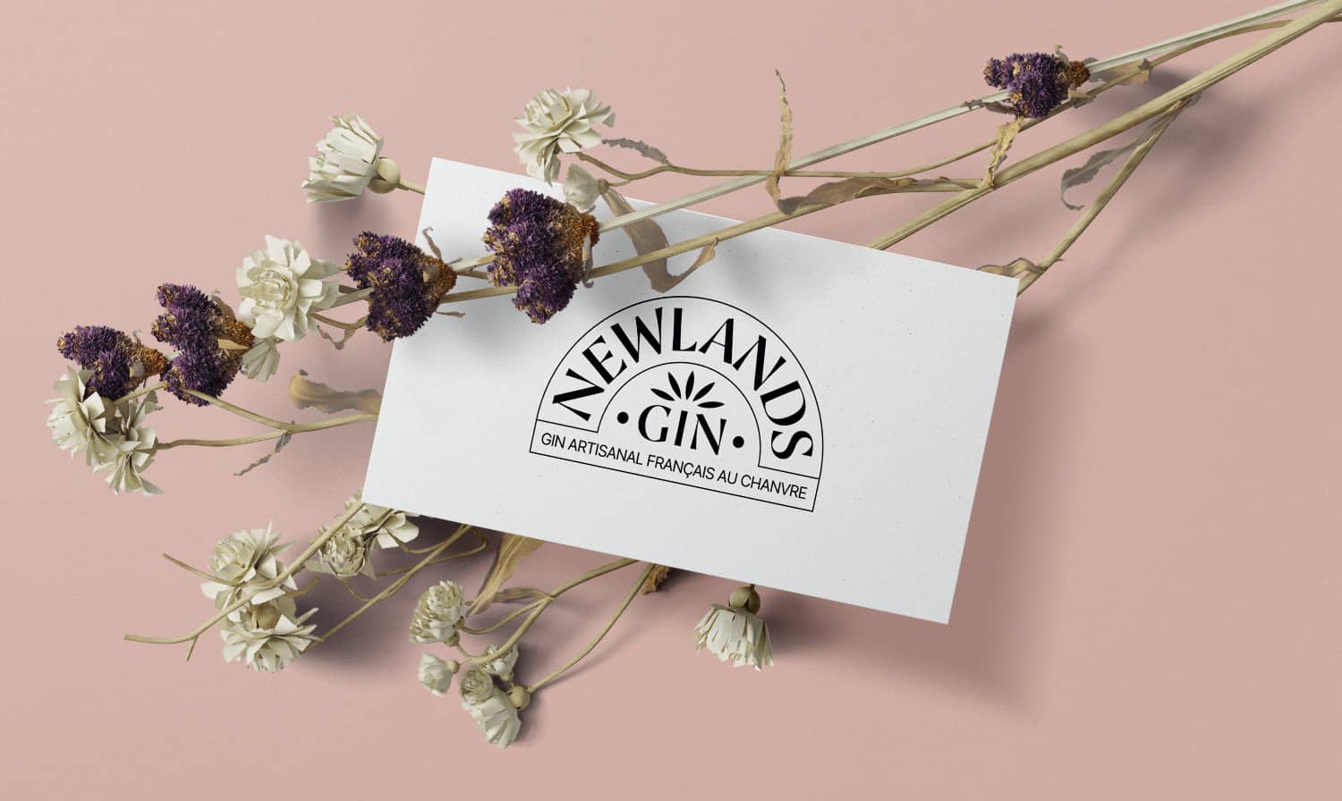 Photo du logo de la marque de gin Newlands, imprimé sur une carte de visite disposée au milieu d’une fleur séchée.