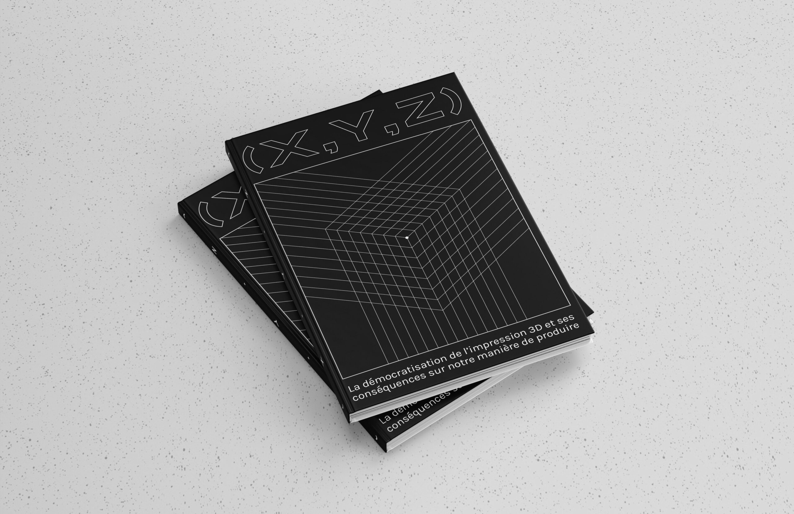 Deux exemplaire du livre XYZ, présentant sa couverture